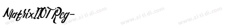 MatrixIIOT Reg字体转换
